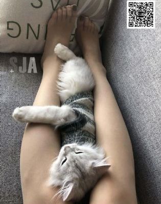 一对一免费观看_BD韩语免费在线播放