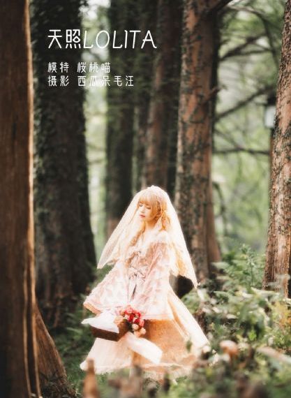 真三国_BD在线观看电视