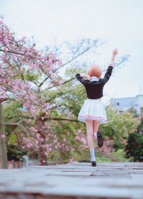 gogo高清完整版_高清免费电视剧