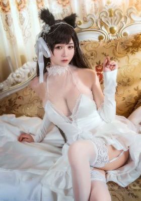 免费看伦理片_1080P在线观看完整版